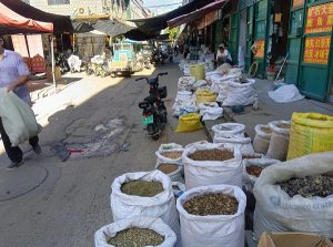 安国　路地の店