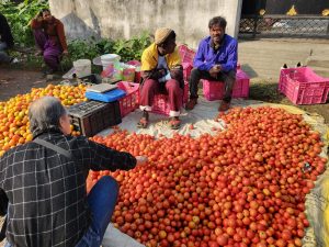 ハートマーケットでトマトをみる