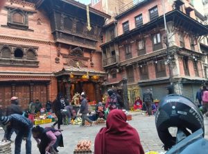 カトマンズアサンチョーク