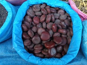 購入した茶色い石